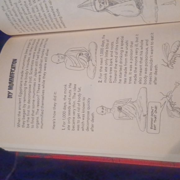 Killer History- by Clive Gifford - Picture 12 of 16